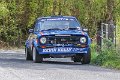Monaghan Stages Rally 2014 SS7 (49 of 88)